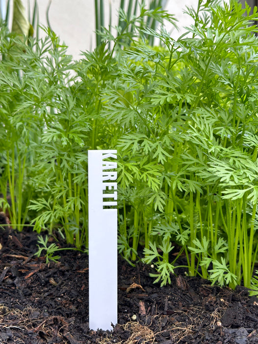 Plant Markers – English or te reo Māori