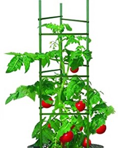 Tomato & Climbing Vegetable Cage