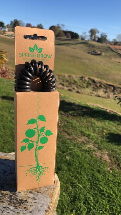 SpringGrow Climbing Vegetable Supports