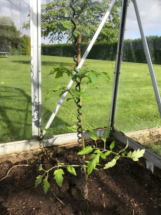 SpringGrow Climbing Vegetable Supports