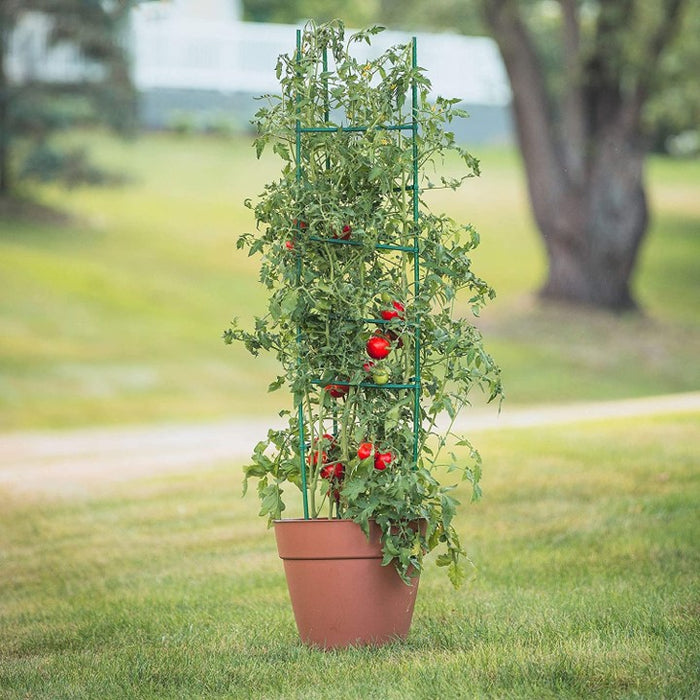 Tomato & Climbing Vegetable Cage